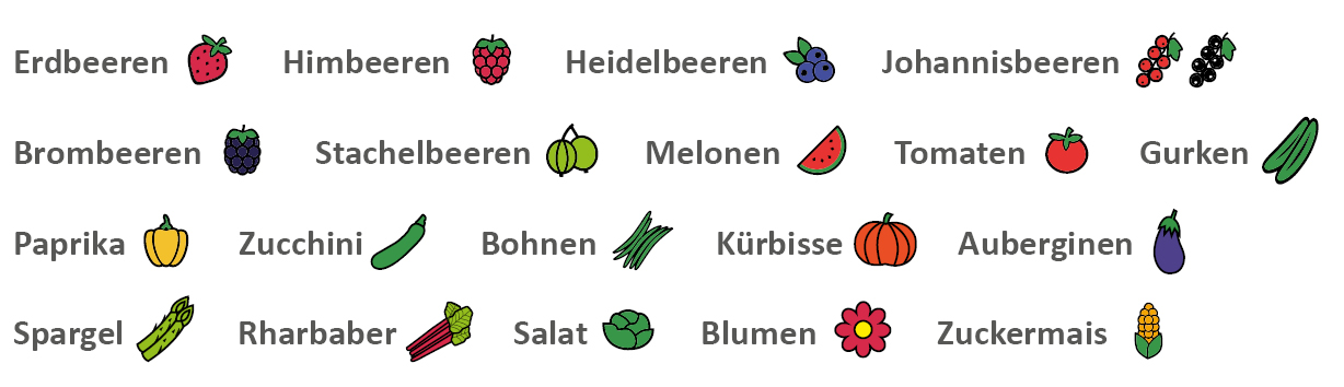 Beeren-Legende_April2025