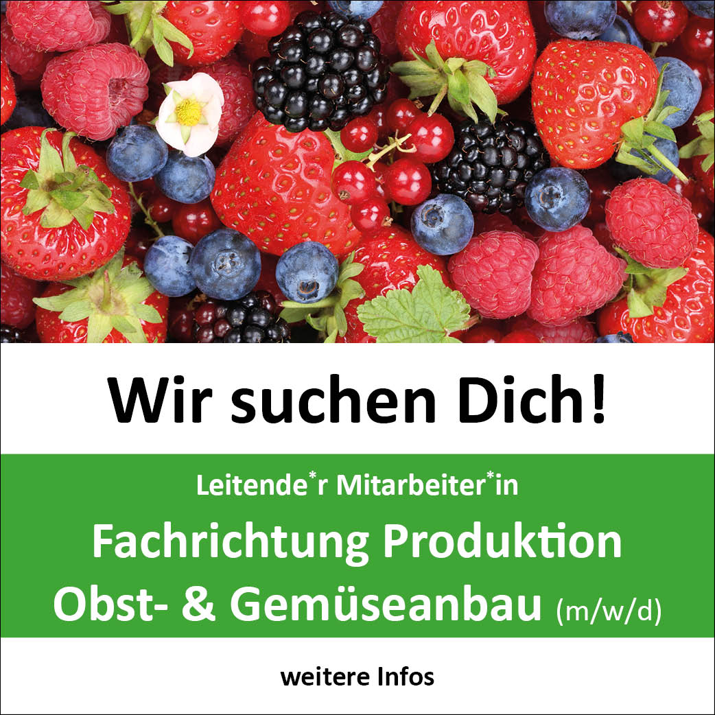 Uebersicht_Stellen_2025_Produktion