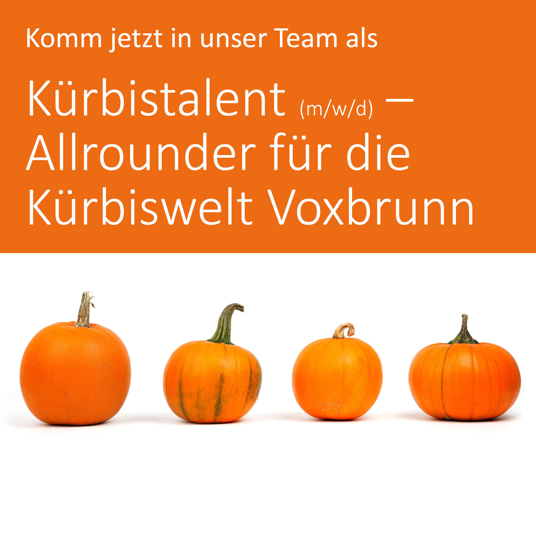 Stellenanzeige_Homepage3_Voxbrunn