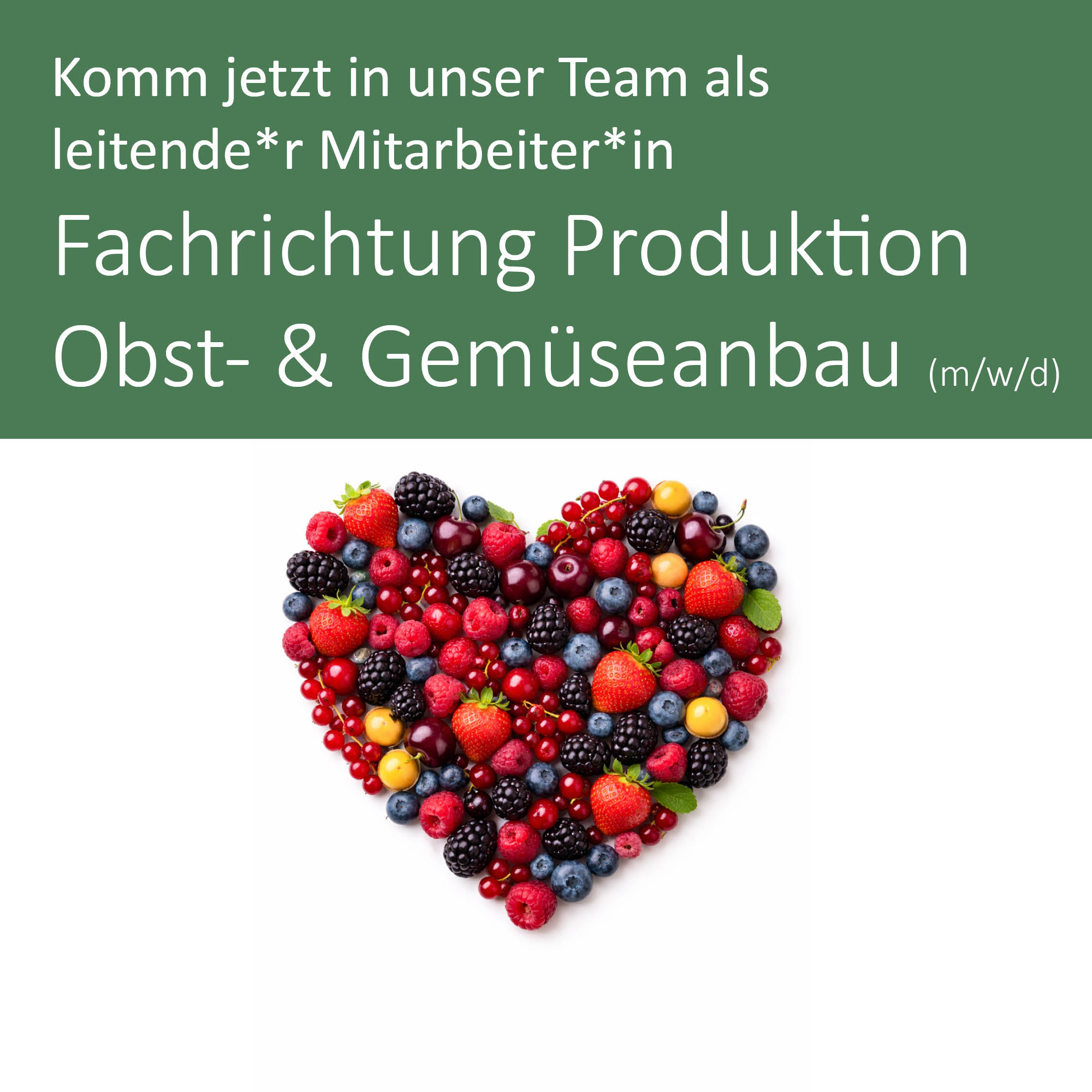 Stellenanzeige_Homepage_Produktion