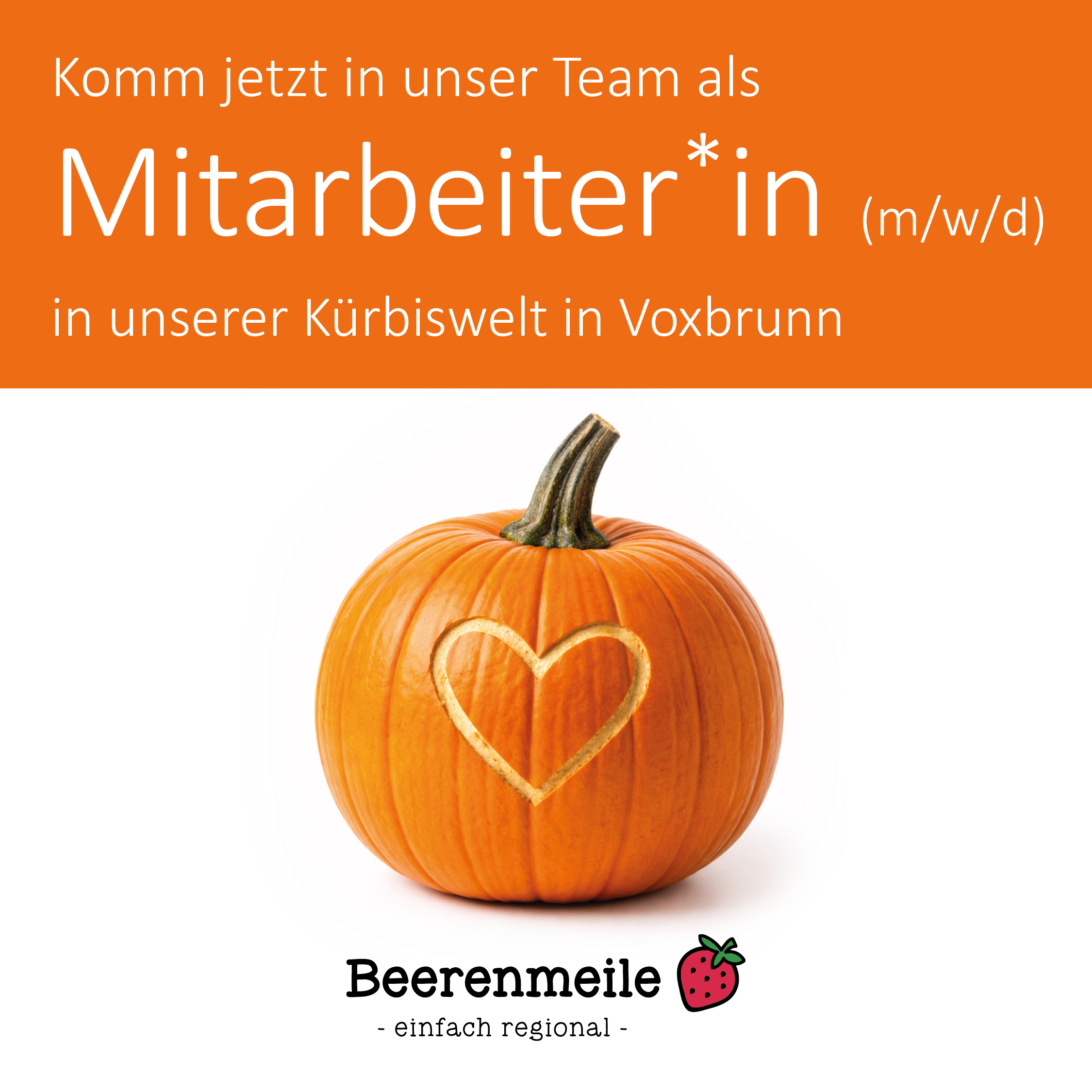 Stellenanzeige_Instagram_Voxbrunn_Mitarbeiter