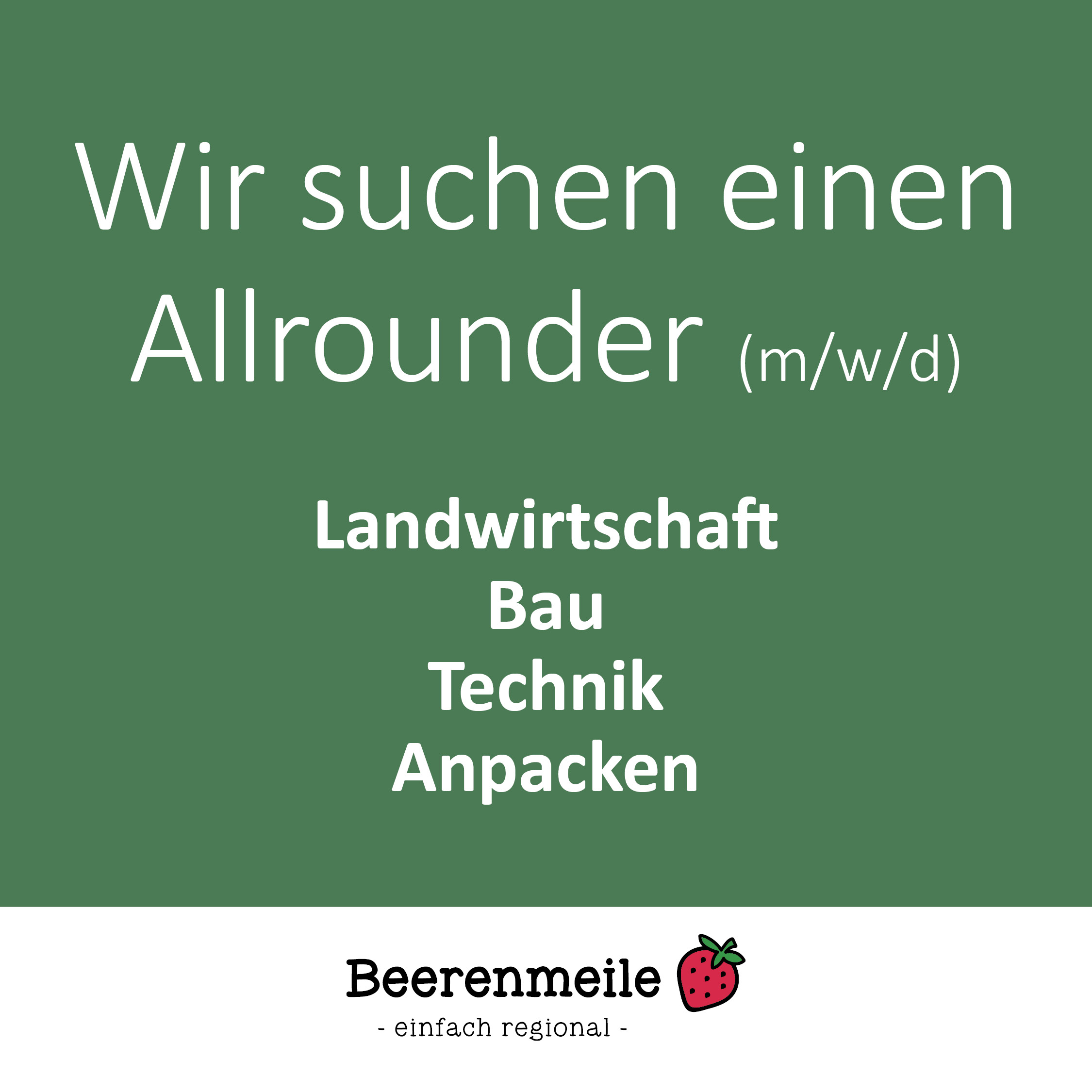 Stellenanzeige_Instagram_Allrounder